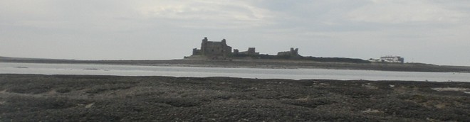 Morecambe Bay Shellfish Farms